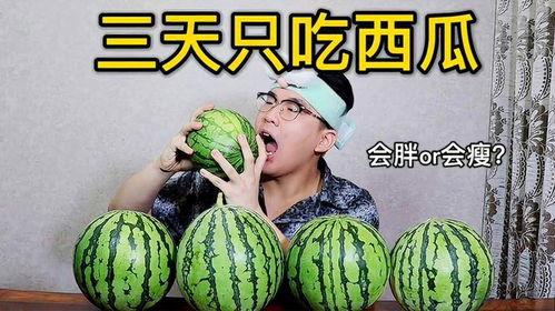 吃瓜王第三季全集免费,揭秘娱乐圈风云，免费观看全集大揭秘  第1张